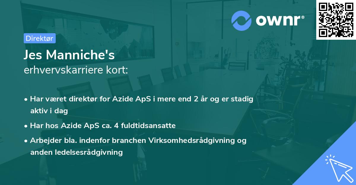 Jes Manniche's erhvervskarriere kort