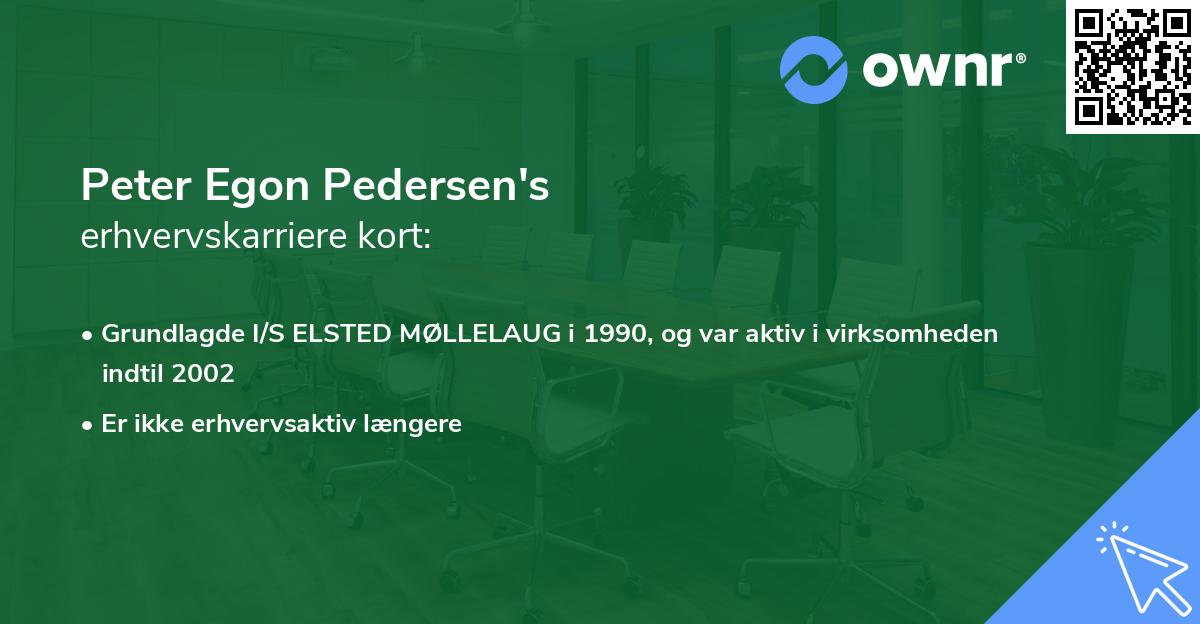 Peter Egon Pedersen's erhvervskarriere kort