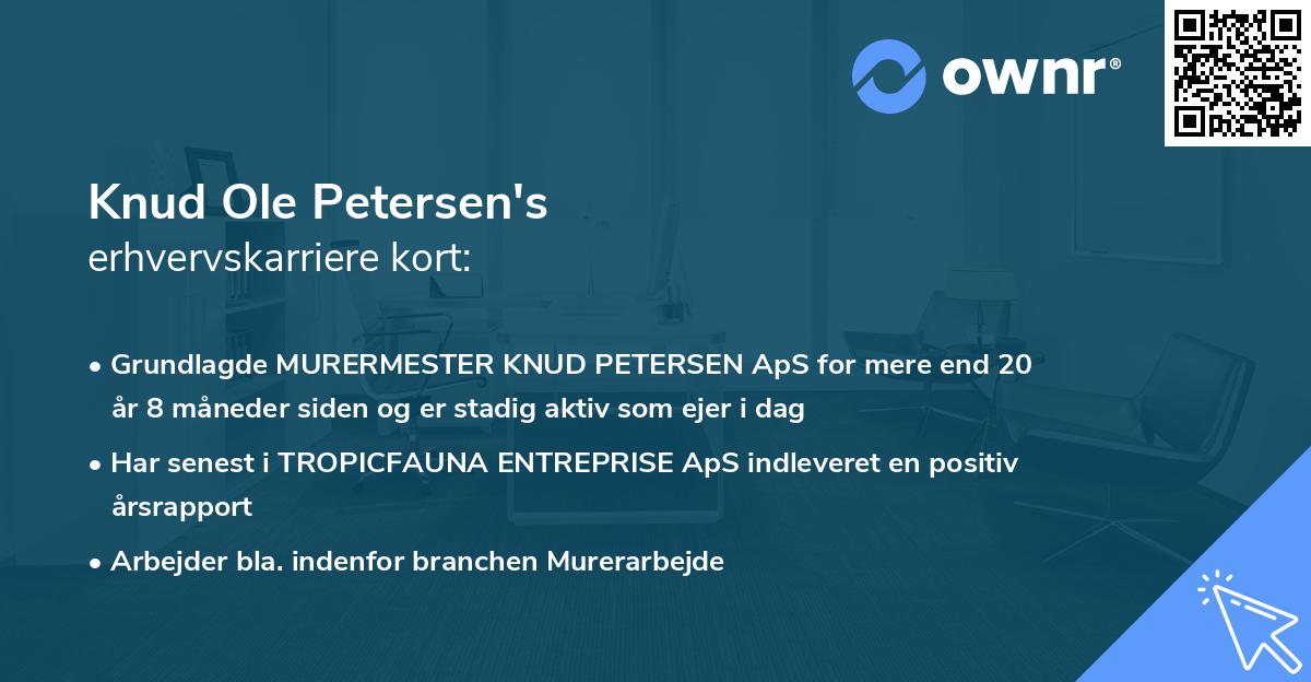 Knud Ole Petersen's erhvervskarriere kort