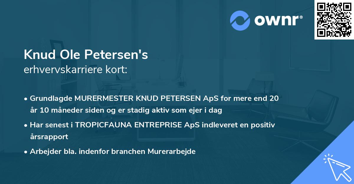 Knud Ole Petersen's erhvervskarriere kort