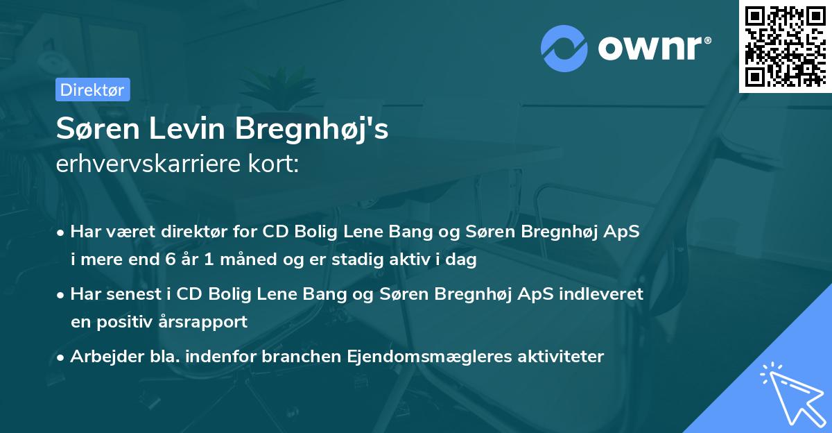 Søren Levin Bregnhøj's erhvervskarriere kort