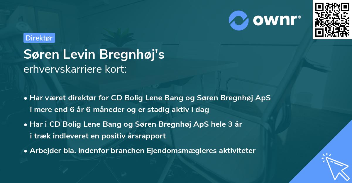 Søren Levin Bregnhøj's erhvervskarriere kort