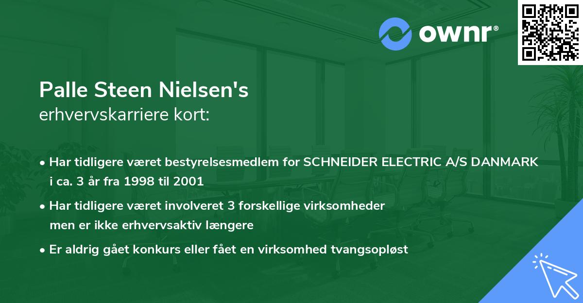 Palle Steen Nielsen's erhvervskarriere kort