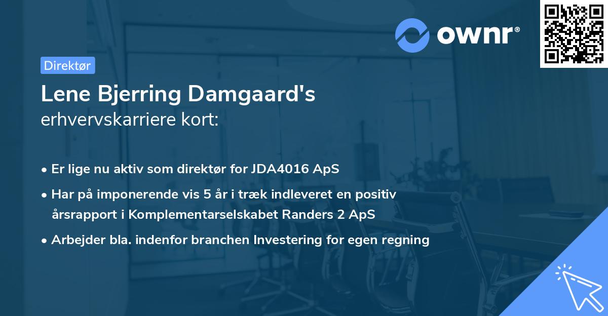 Lene Bjerring Damgaard's erhvervskarriere kort