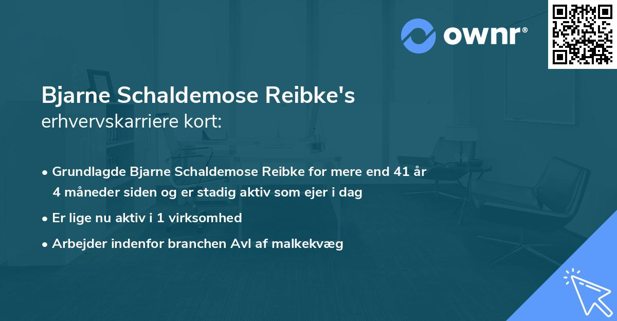 Bjarne Schaldemose Reibke's erhvervskarriere kort