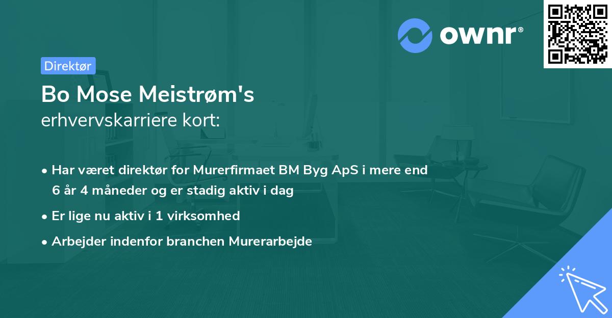 Bo Mose Meistrøm's erhvervskarriere kort