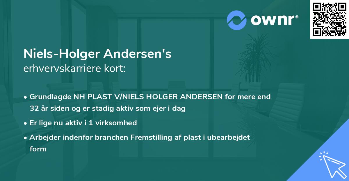 Niels-Holger Andersen's erhvervskarriere kort