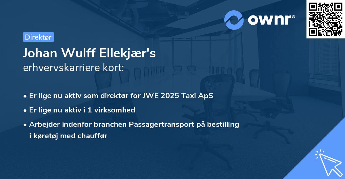 Johan Wulff Ellekjær's erhvervskarriere kort