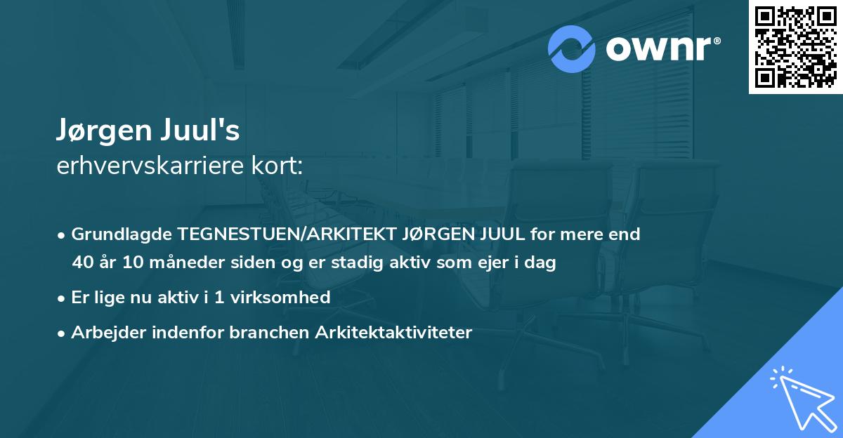 Jørgen Juul's erhvervskarriere kort
