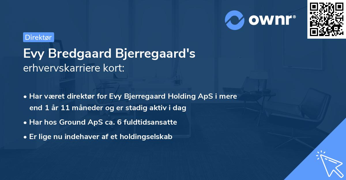 Evy Bredgaard Bjerregaard's erhvervskarriere kort