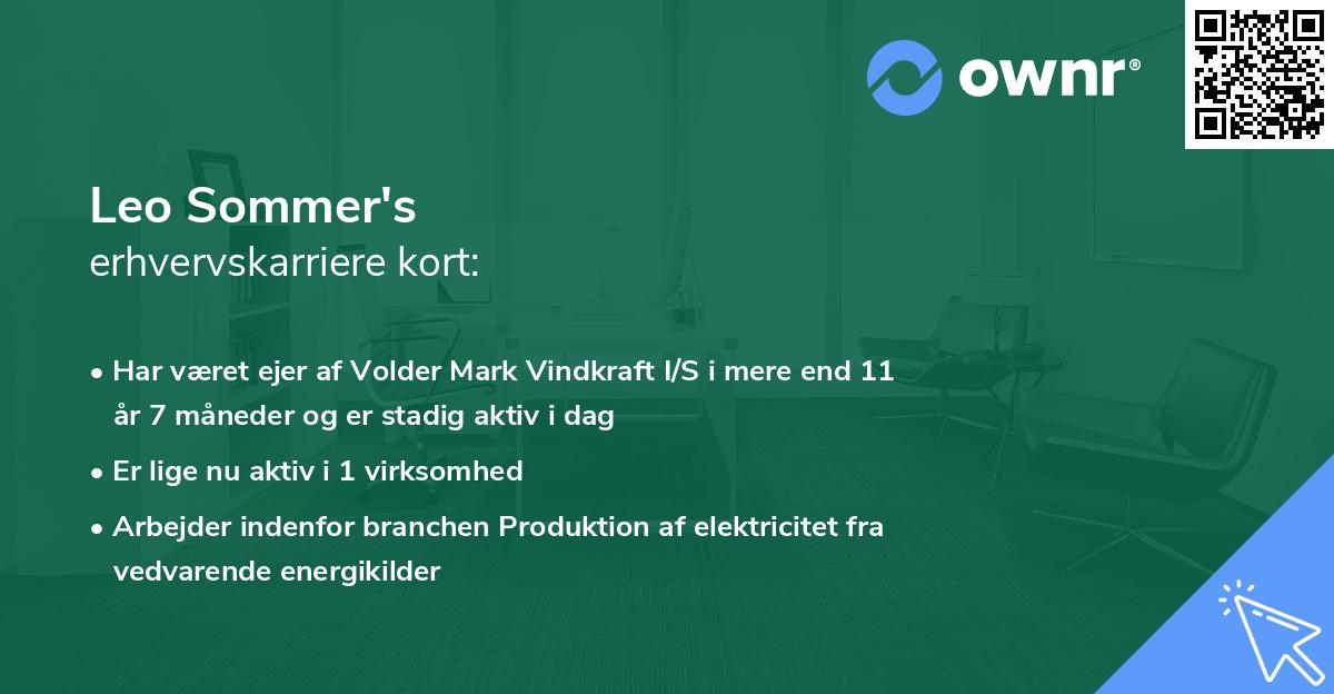 Leo Sommer's erhvervskarriere kort