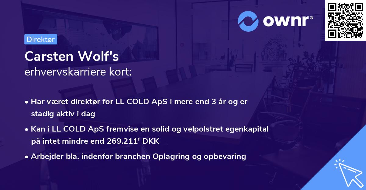 Carsten Wolf's erhvervskarriere kort