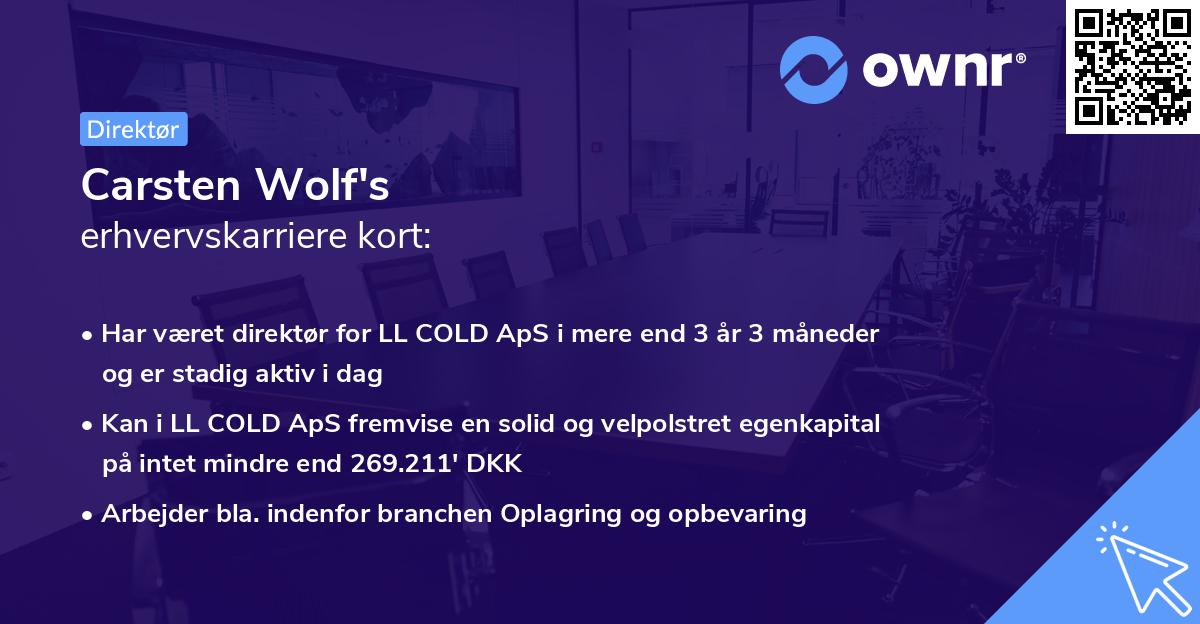 Carsten Wolf's erhvervskarriere kort
