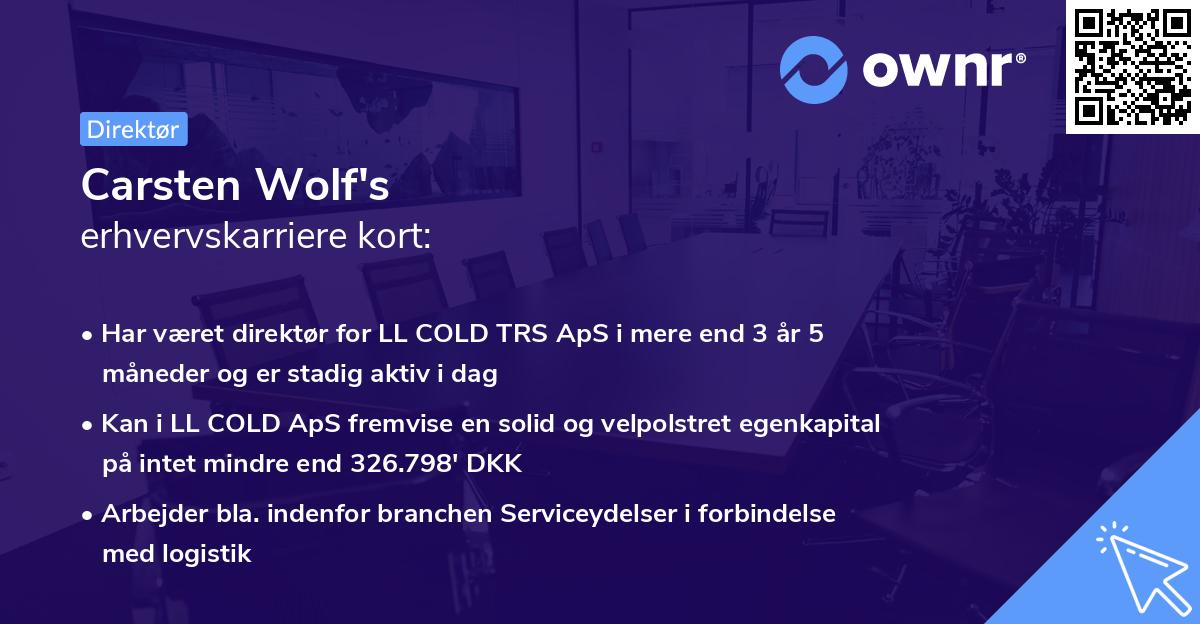 Carsten Wolf's erhvervskarriere kort