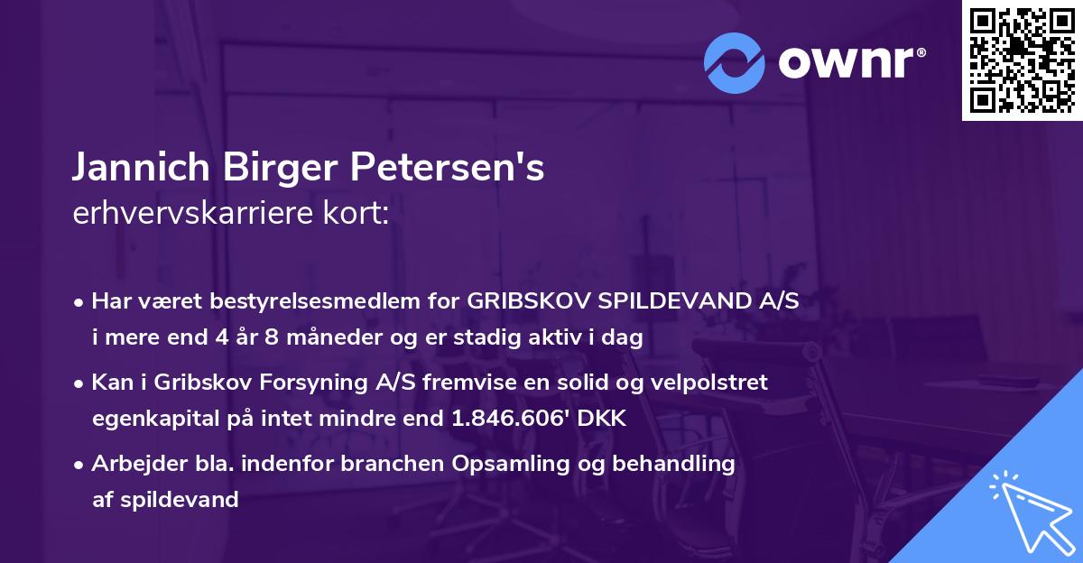 Jannich Birger Petersen's erhvervskarriere kort