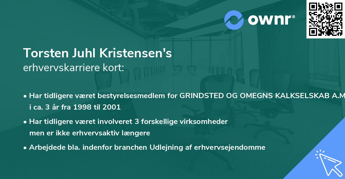 Torsten Juhl Kristensen's erhvervskarriere kort