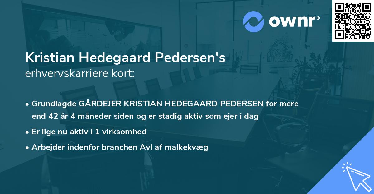 Kristian Hedegaard Pedersen's erhvervskarriere kort