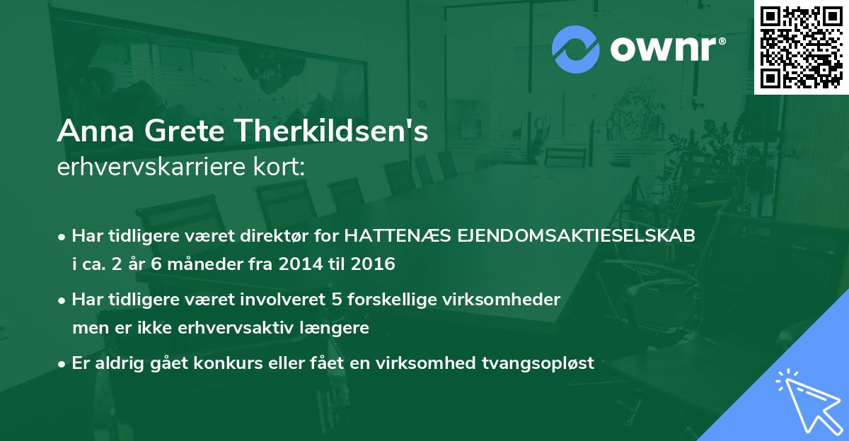 Anna Grete Therkildsen's erhvervskarriere kort