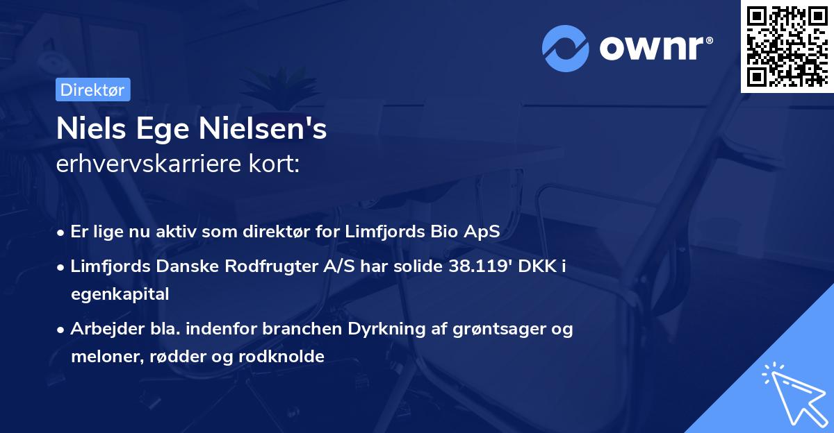Niels Ege Nielsen's erhvervskarriere kort