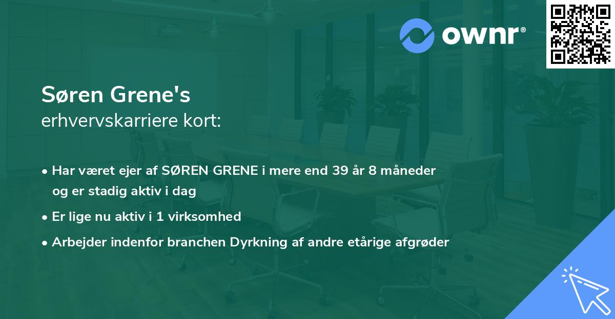 Søren Grene's erhvervskarriere kort