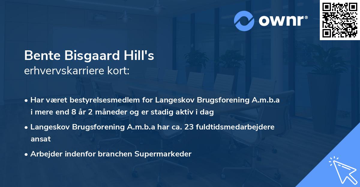 Bente Bisgaard Hill's erhvervskarriere kort