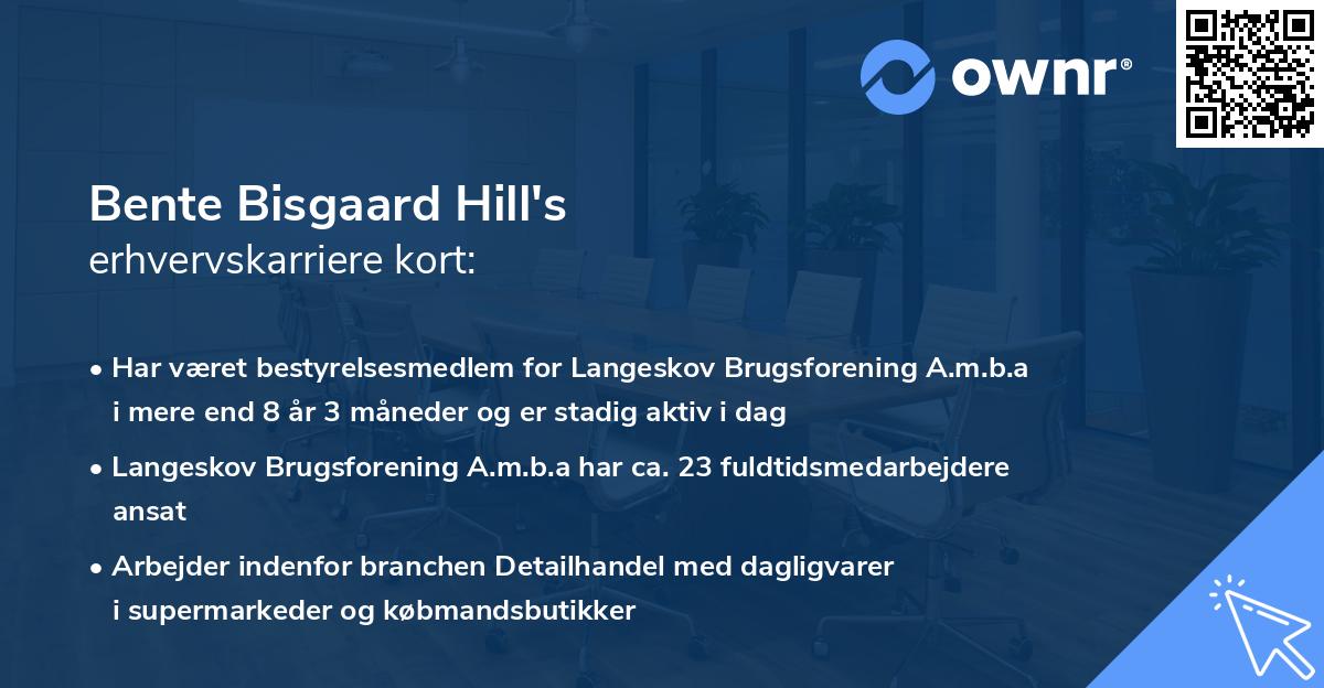 Bente Bisgaard Hill's erhvervskarriere kort