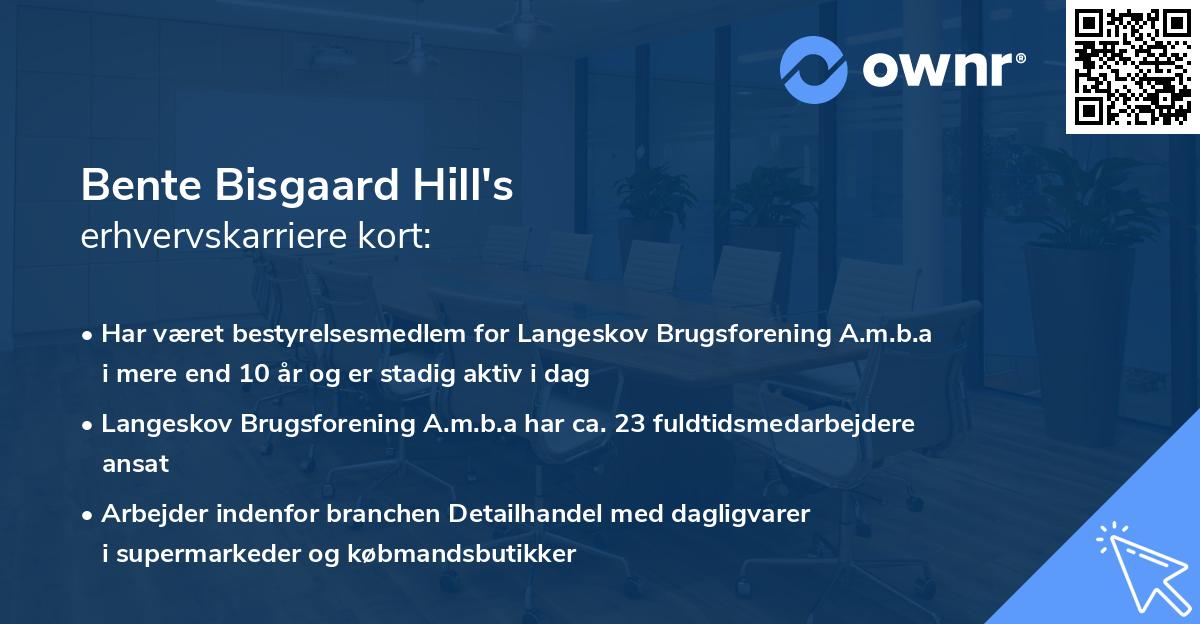 Bente Bisgaard Hill's erhvervskarriere kort