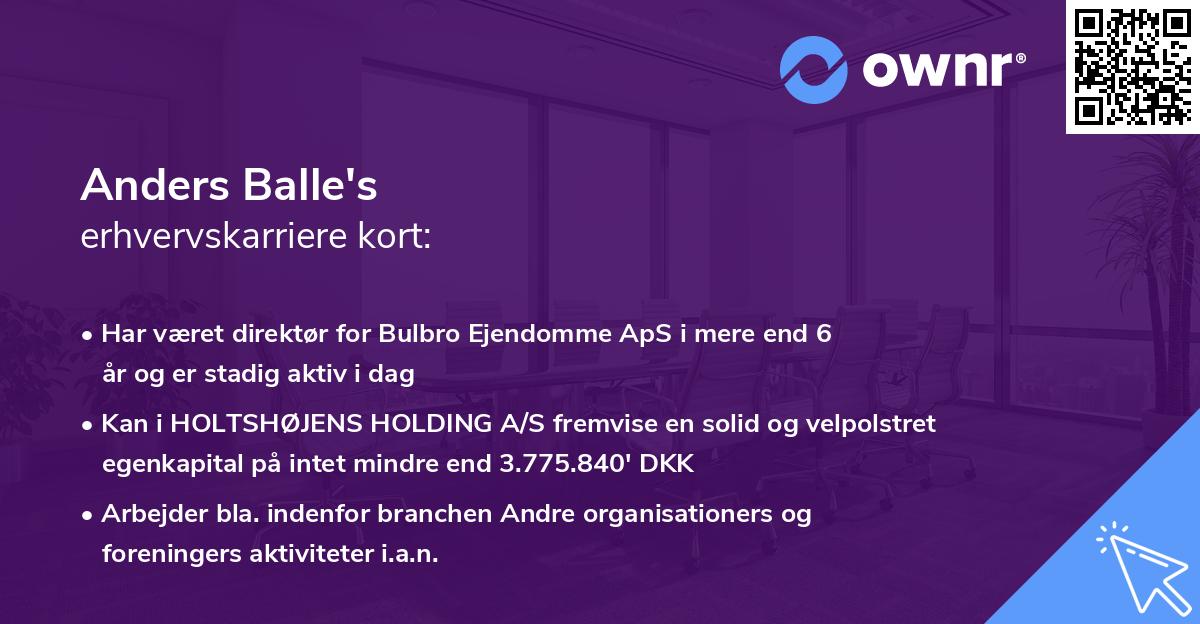 Anders Balle's erhvervskarriere kort