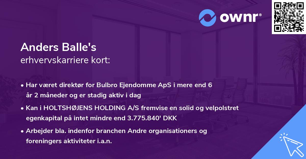 Anders Balle's erhvervskarriere kort