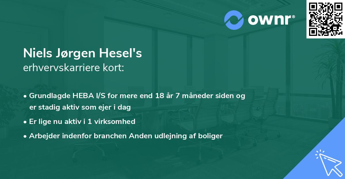 Niels Jørgen Hesel's erhvervskarriere kort