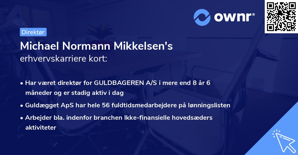 Michael Normann Mikkelsen's erhvervskarriere kort