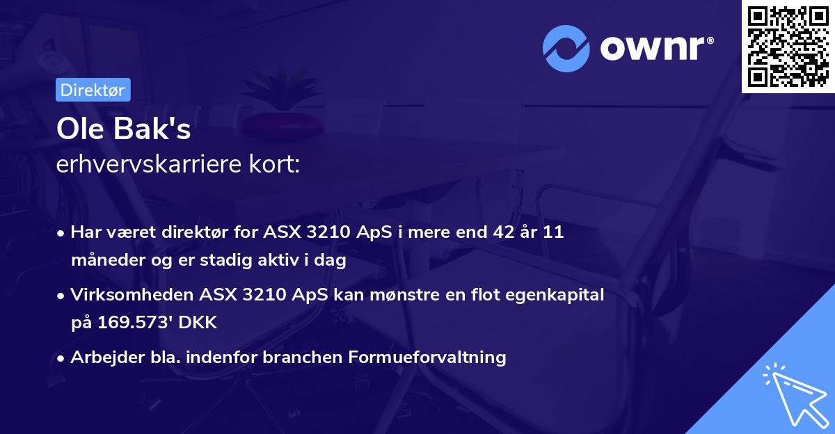 Ole Bak's erhvervskarriere kort