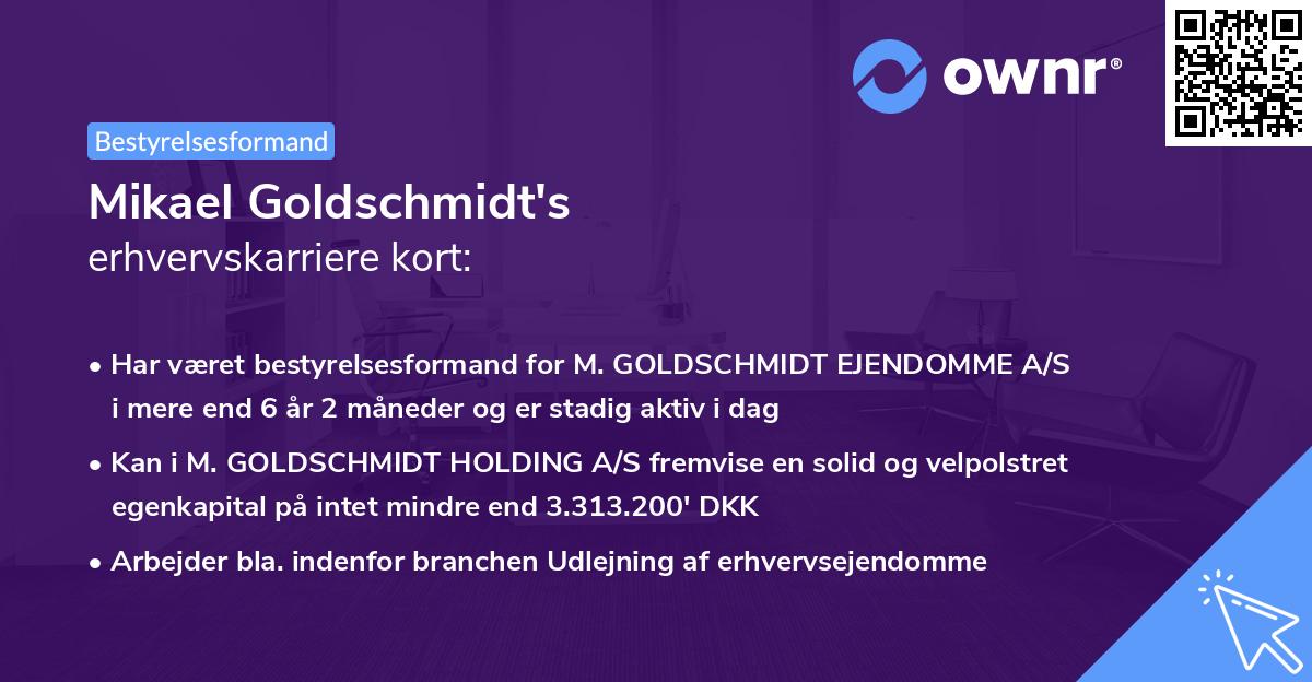 Mikael Goldschmidt's erhvervskarriere kort