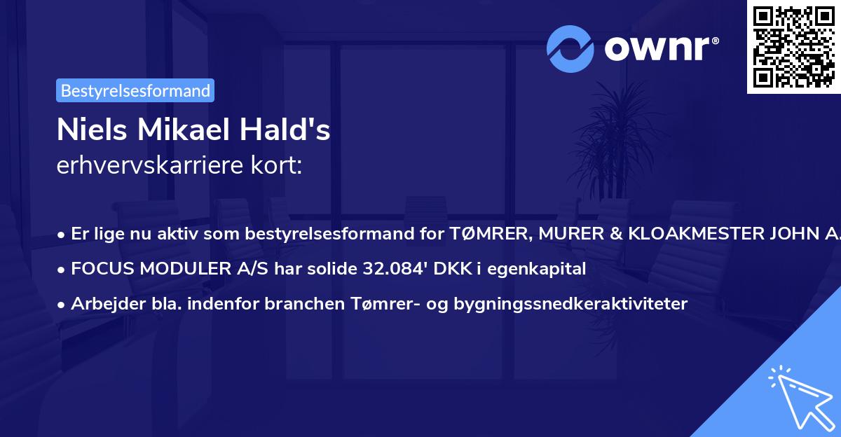 Niels Mikael Hald's erhvervskarriere kort