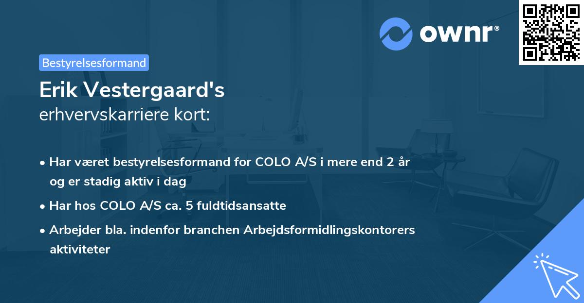 Erik Vestergaard's erhvervskarriere kort