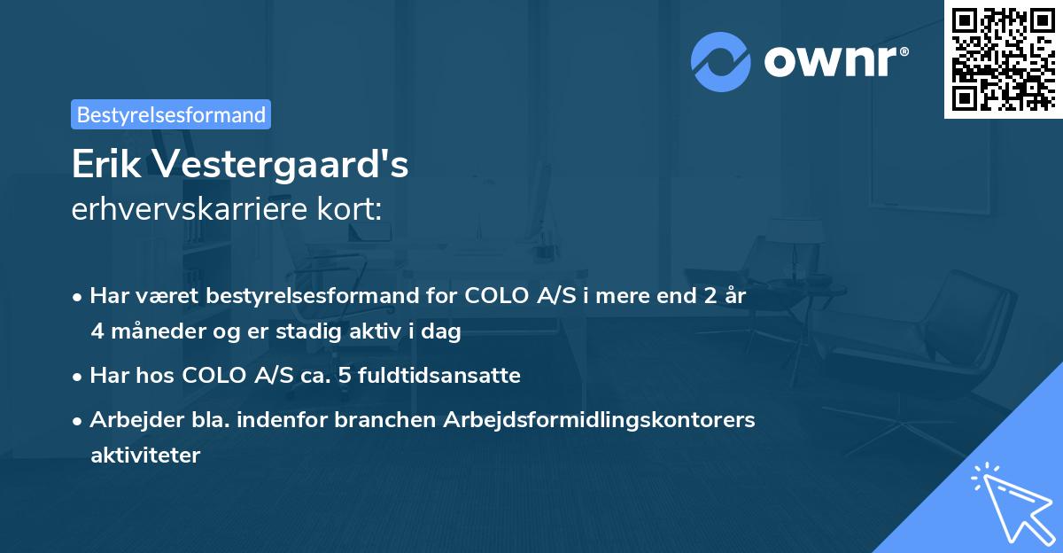 Erik Vestergaard's erhvervskarriere kort