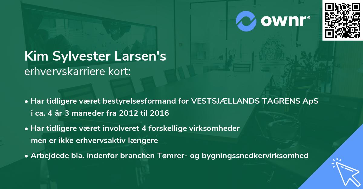 Kim Sylvester Larsen's erhvervskarriere kort