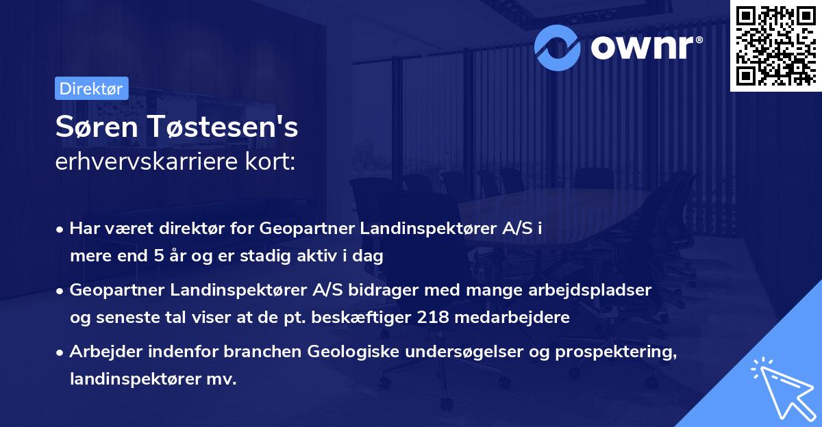 Søren Tøstesen's erhvervskarriere kort