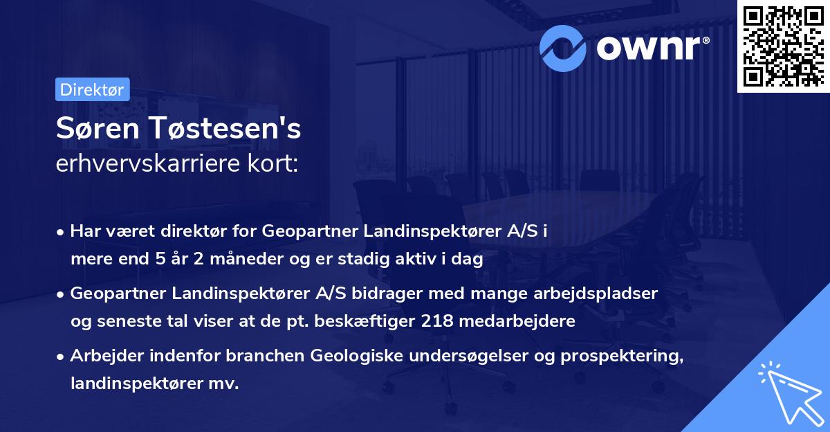 Søren Tøstesen's erhvervskarriere kort