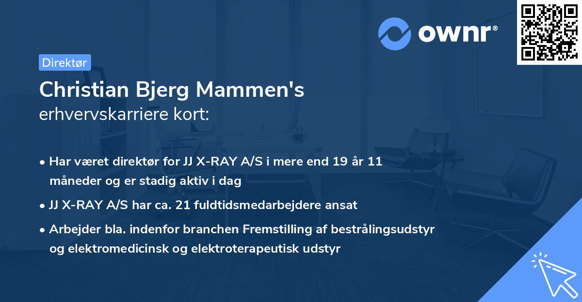 Christian Bjerg Mammen's erhvervskarriere kort