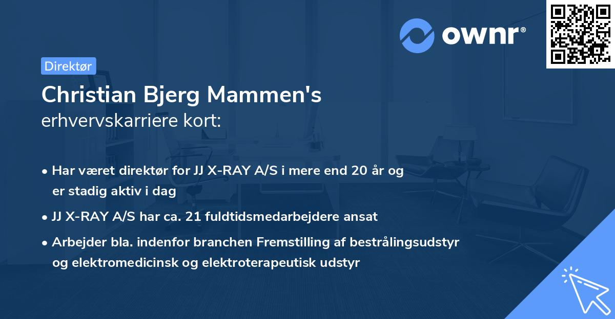 Christian Bjerg Mammen's erhvervskarriere kort