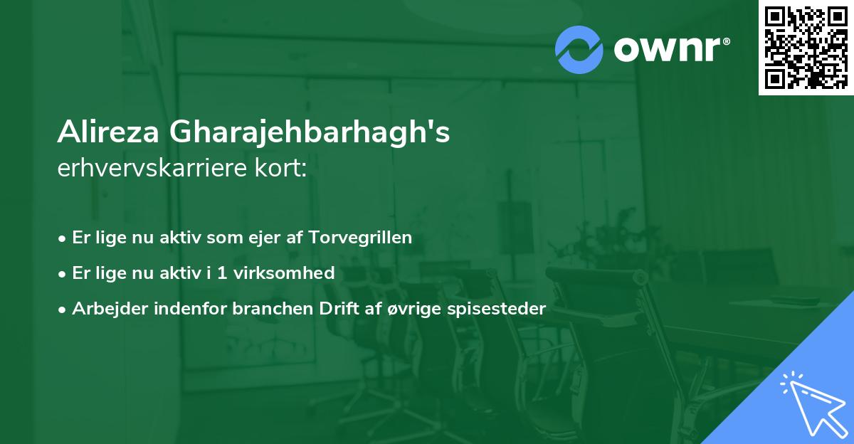 Alireza Gharajehbarhagh's erhvervskarriere kort