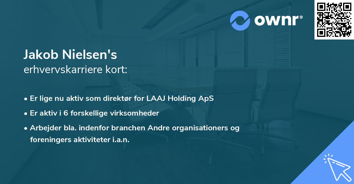 Jakob Nielsen's erhvervskarriere kort