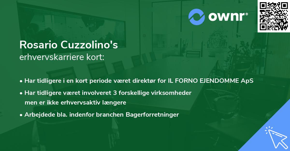Rosario Cuzzolino's erhvervskarriere kort