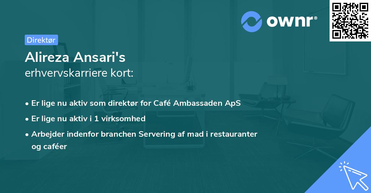Alireza Ansari's erhvervskarriere kort