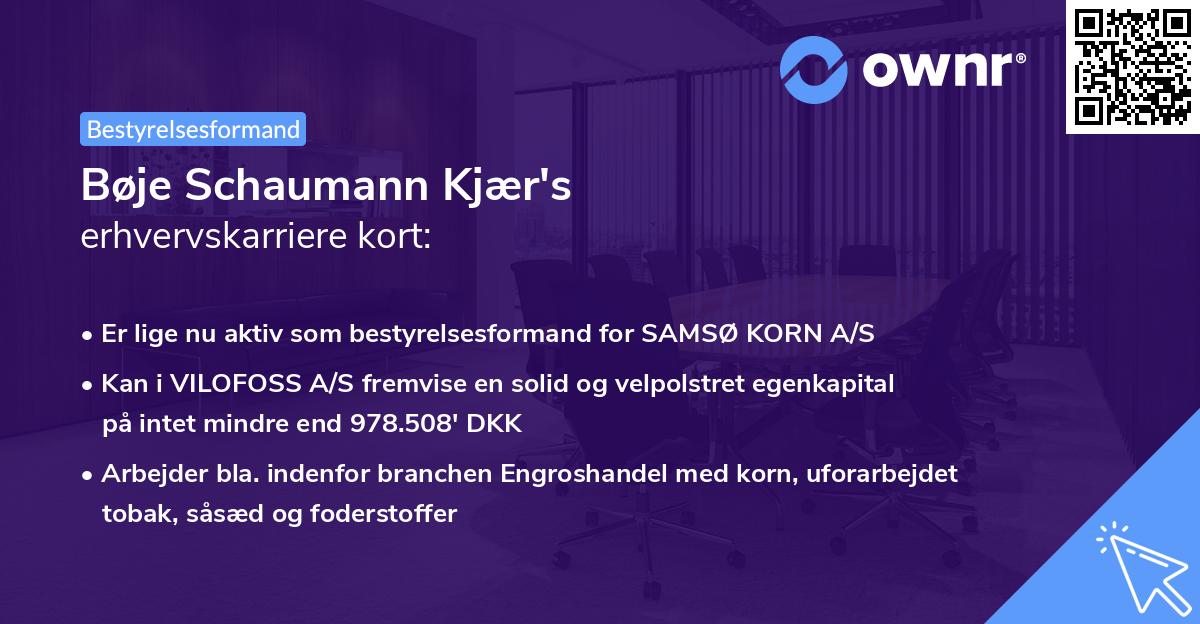Bøje Schaumann Kjær's erhvervskarriere kort