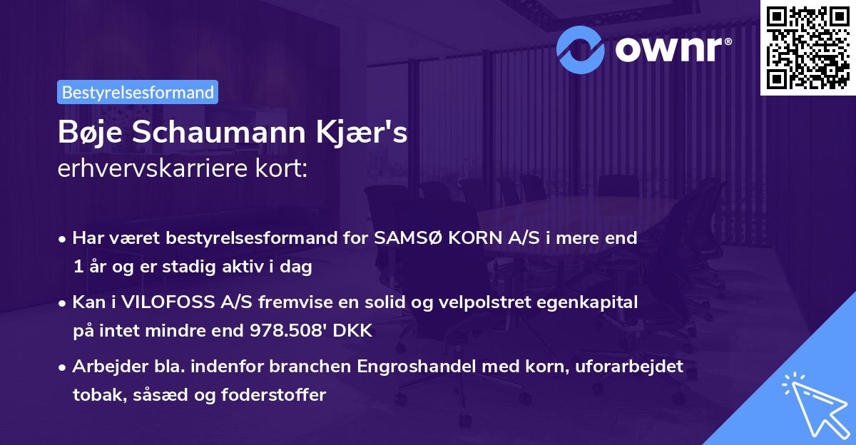Bøje Schaumann Kjær's erhvervskarriere kort