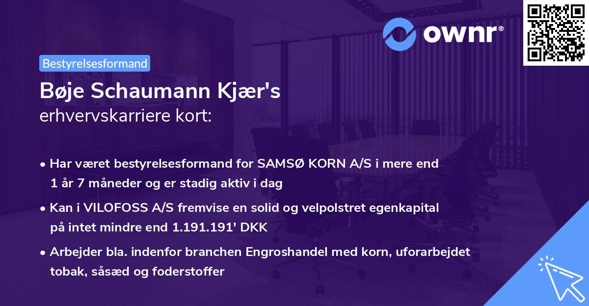 Bøje Schaumann Kjær's erhvervskarriere kort