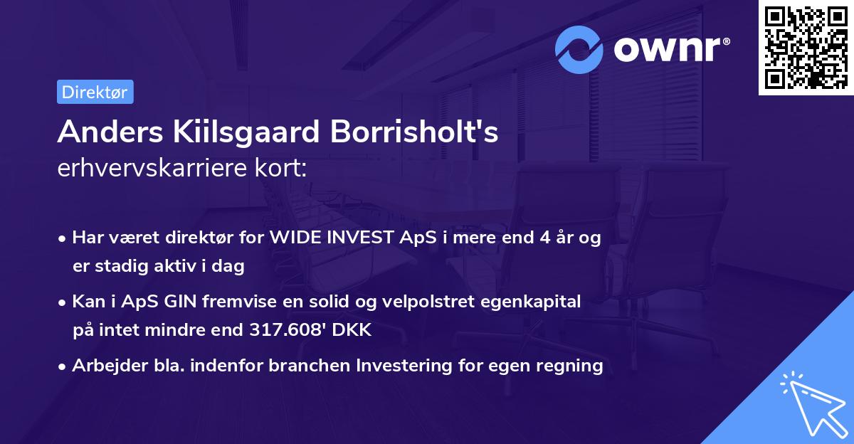 Anders Kiilsgaard Borrisholt's erhvervskarriere kort