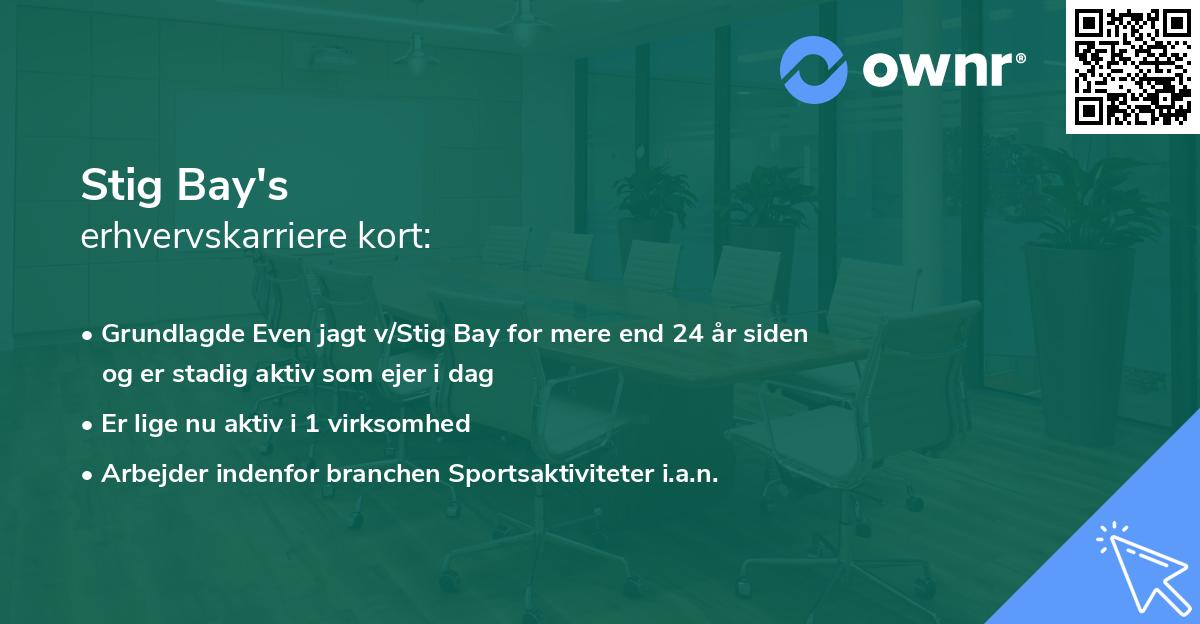 Stig Bay's erhvervskarriere kort